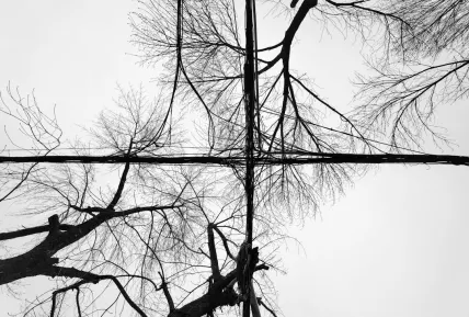 Crystal Casino Mobil App